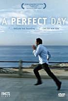 A Perfect Day