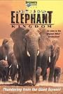 Africa's Elephant Kingdom (1998)