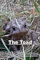 The Toad