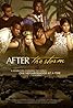 After the Storm (2009) Poster