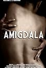 Amigdala (2011)