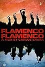 Flamenco Flamenco (2010)