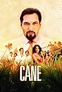 Cane (2007)