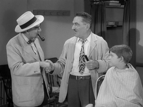 Ron Howard, Howard McNear, and Herb Vigran in The Andy Griffith Show (1960)