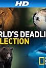 World's Deadliest Collection (2006)