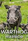 Warthog Warrior (2020)