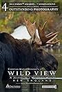 Wild View: a Journey to a Wondrous World