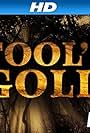 Fool's Gold (2014)