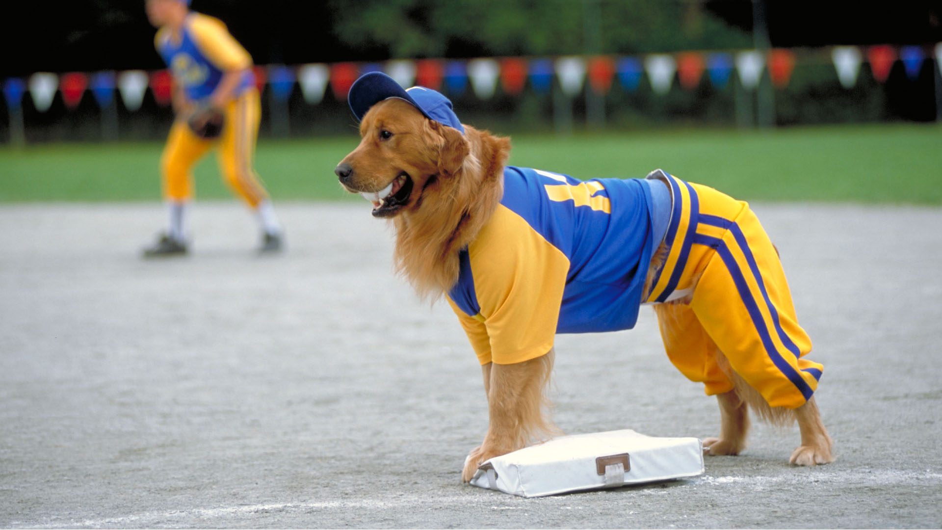 Air Bud: Seventh Inning Fetch (2002)