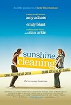 Sunshine Cleaning