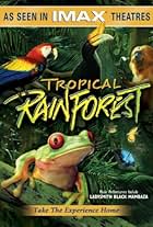 Tropical Rainforest (1992)