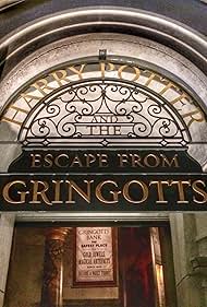 Harry Potter and the Escape from Gringotts (2014)