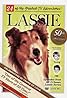 Lassie (TV Series 1954–1974) Poster