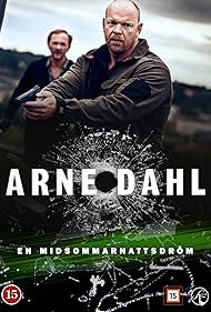 Arne Dahl: En midsommarnattsdröm (2015)