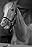 Mister Ed's primary photo