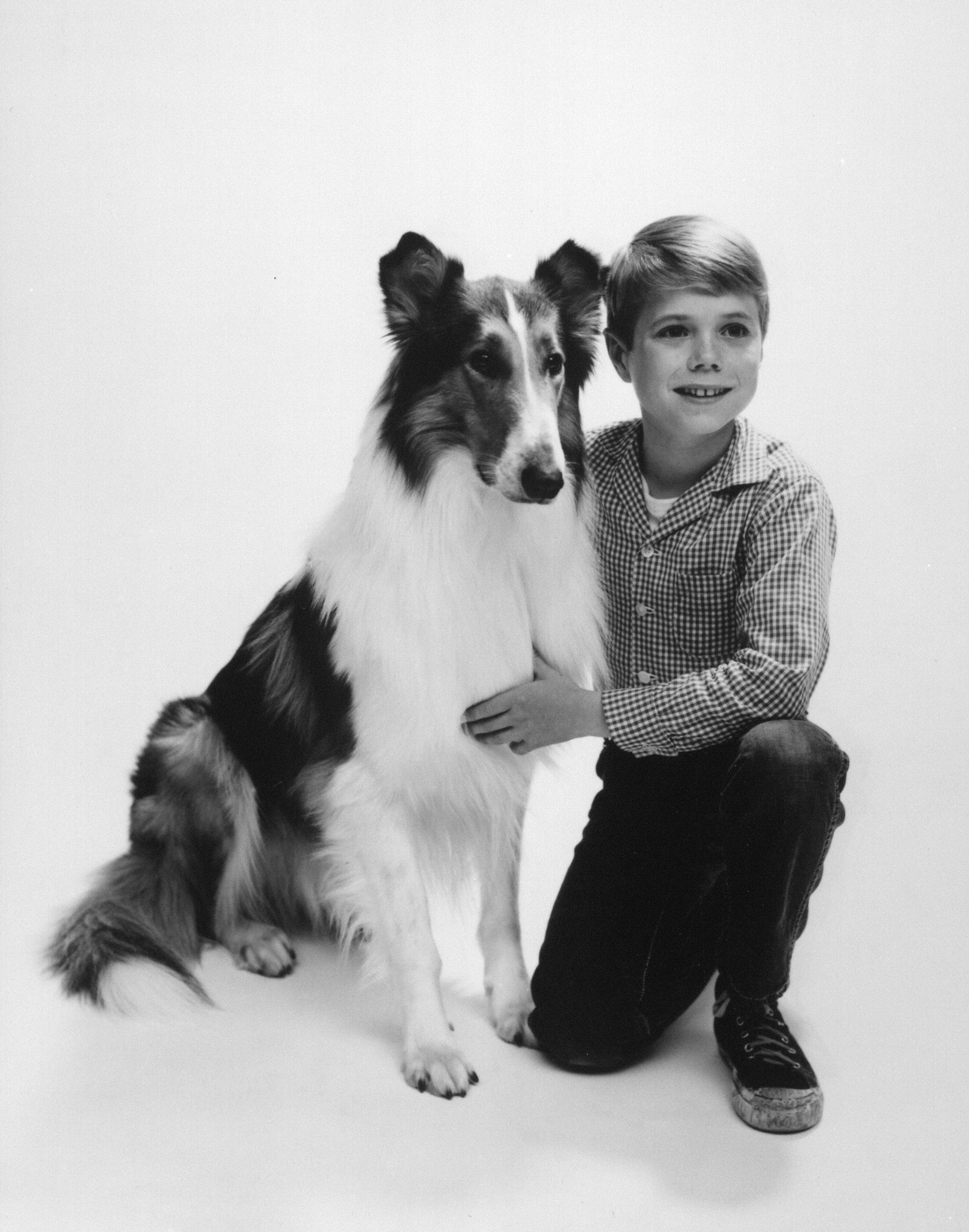 Jon Provost, Lassie the Dog, and Lassie in Lassie (1954)