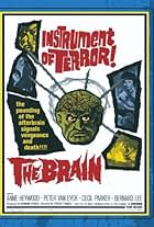 The Brain