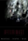 Afterimage (2007)