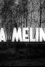 Na meline (1981)