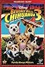 Beverly Hills Chihuahua 3: Viva La Fiesta! (Video 2012) Poster