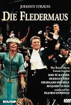 Die Fledermaus