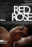 Red Rose (2014) Poster