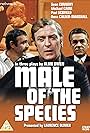 Male of the Species (1969)