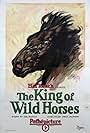 The King of Wild Horses (1924)