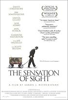 The Sensation of Sight