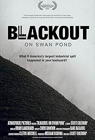 Blackout: On Swan Pond (2014)