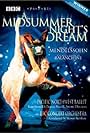 A Midsummer Night's Dream (1999)