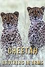 Cheetah Brothers in Arms