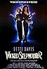 Wicked Stepmother (1989) Poster