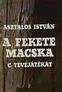 A fekete macska (1976)