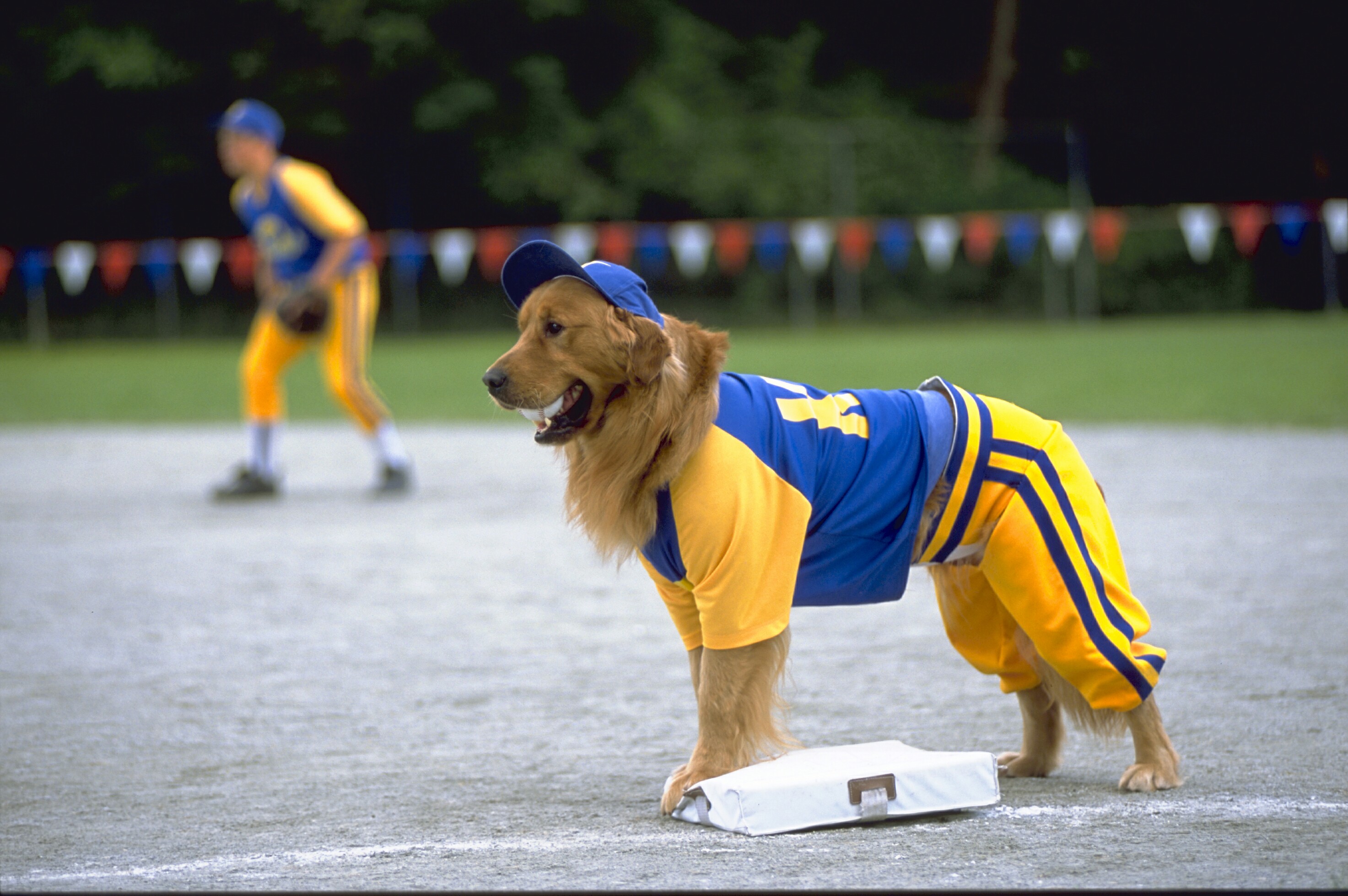 Air Bud: Seventh Inning Fetch (2002)