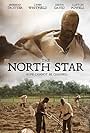 The North Star (2016)