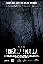 Pimeällä polulla (2014)