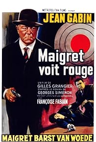 Primary photo for Maigret voit rouge