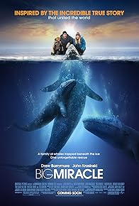 Primary photo for Big Miracle