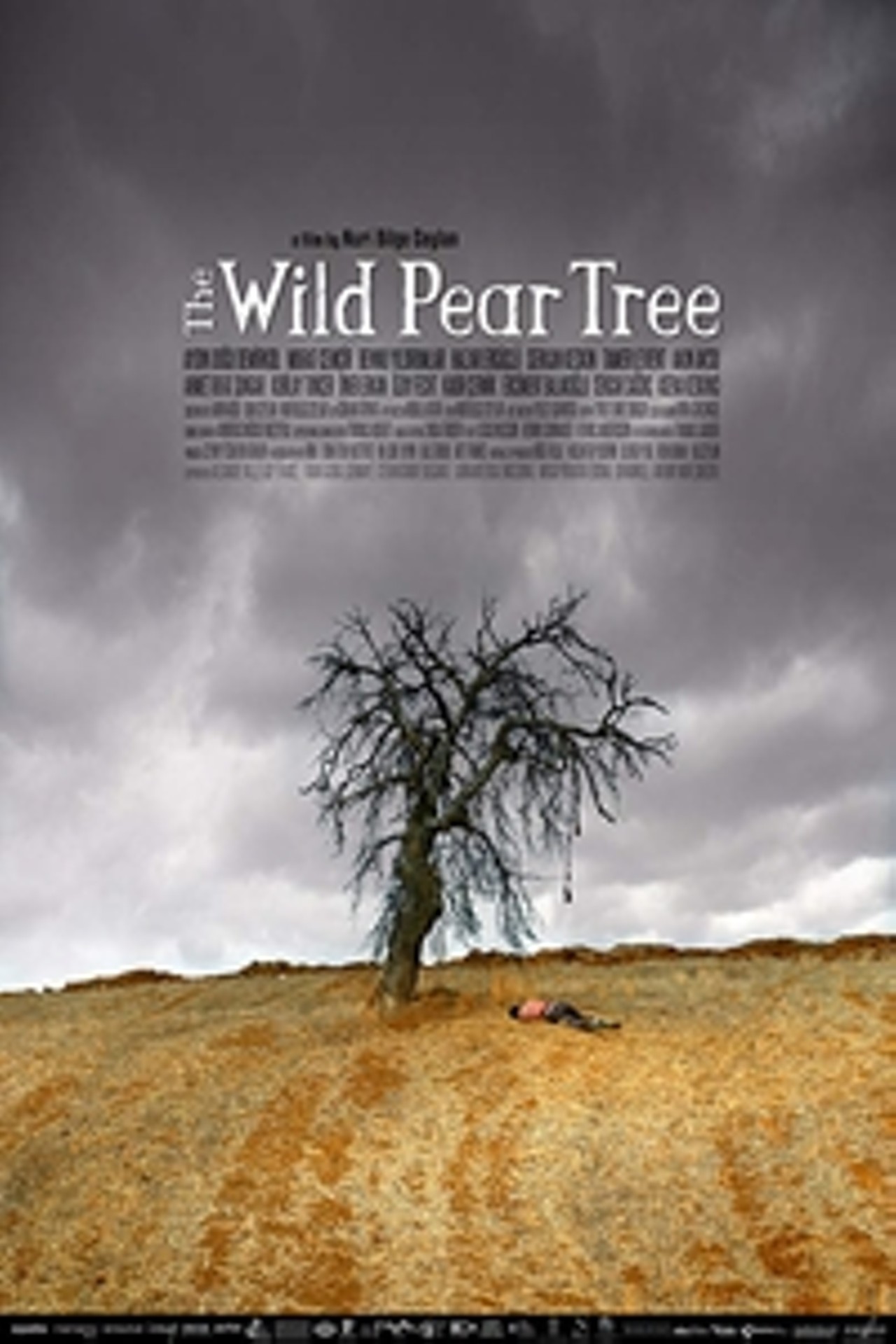 Making of the Wild Pear Tree (2019)