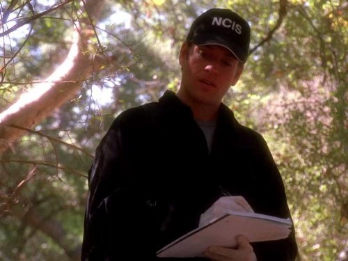 Michael Weatherly in NCIS (2003)