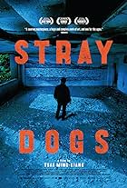 Stray Dogs