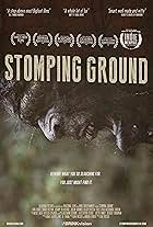 Stomping Ground