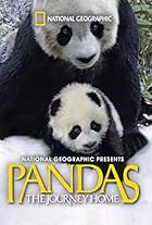 Pandas: The Journey Home (2014)