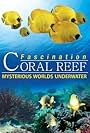 Fascination Coral Reef: Mysterious Worlds Underwater (2012)