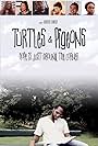 Turtles & Pigeons (2014)