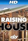 Raising House (2010)