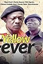 Yellow Fever (2015)