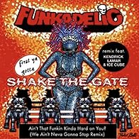 Primary photo for Funkadelic Feat. Kendrick Lamar & Ice Cube: Ain't That Funkin' Kinda Hard on You? (Remix)