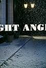 Night Angels (1995)